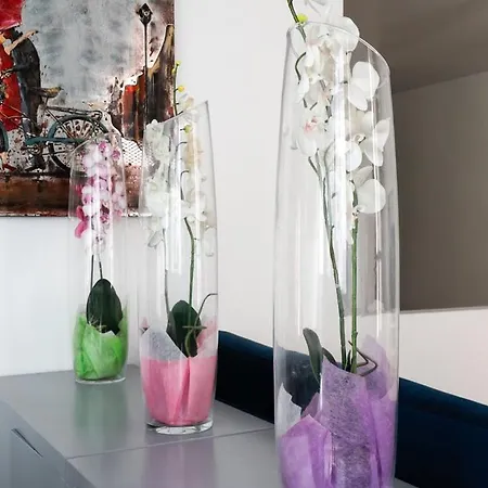 257 Pouchet - Superbe A פריז