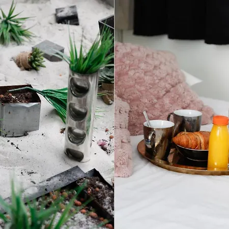 257 Pouchet - Superbe A